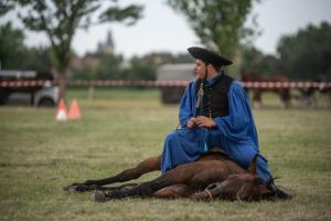 Lovasnap 2019. (foto: Jenei Boldizsár) - 2019. 07. 07.