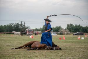 Lovasnap 2019. (foto: Jenei Boldizsár) - 2019. 07. 07.
