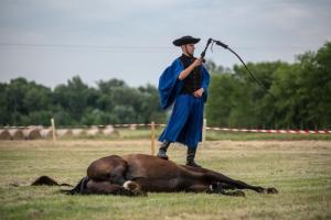 Lovasnap 2019. (foto: Jenei Boldizsár) - 2019. 07. 07.