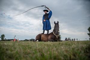 Lovasnap 2019. (foto: Jenei Boldizsár) - 2019. 07. 07.