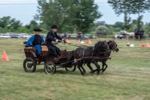 Lovasnap 2019. (foto: Jenei Boldizsár) - 2019. 07. 07.