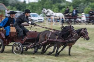 Lovasnap 2019. (foto: Jenei Boldizsár) - 2019. 07. 07.