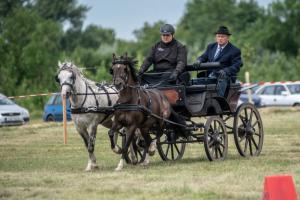 Lovasnap 2019. (foto: Jenei Boldizsár) - 2019. 07. 07.