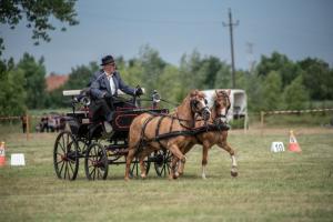 Lovasnap 2019. (foto: Jenei Boldizsár) - 2019. 07. 07.
