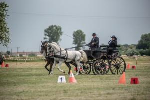 Lovasnap 2019. (foto: Jenei Boldizsár) - 2019. 07. 07.