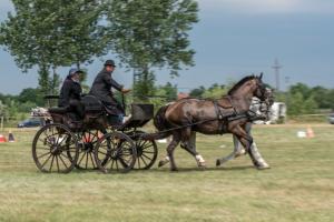Lovasnap 2019. (foto: Jenei Boldizsár) - 2019. 07. 07.