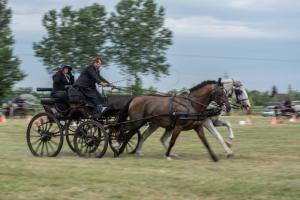 Lovasnap 2019. (foto: Jenei Boldizsár) - 2019. 07. 07.