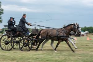 Lovasnap 2019. (foto: Jenei Boldizsár) - 2019. 07. 07.