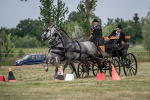 Lovasnap 2019. (foto: Jenei Boldizsár) - 2019. 07. 07.