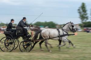 Lovasnap 2019. (foto: Jenei Boldizsár) - 2019. 07. 07.