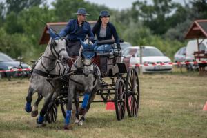 Lovasnap 2019. (foto: Jenei Boldizsár) - 2019. 07. 07.