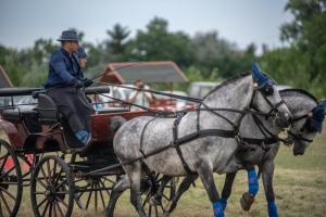Lovasnap 2019. (foto: Jenei Boldizsár) - 2019. 07. 07.