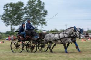Lovasnap 2019. (foto: Jenei Boldizsár) - 2019. 07. 07.