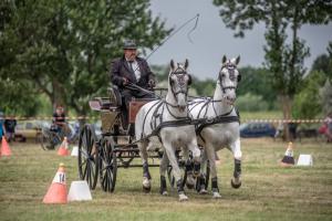 Lovasnap 2019. (foto: Jenei Boldizsár) - 2019. 07. 07.