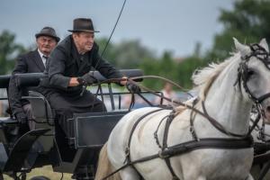 Lovasnap 2019. (foto: Jenei Boldizsár) - 2019. 07. 07.