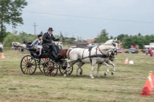 Lovasnap 2019. (foto: Jenei Boldizsár) - 2019. 07. 07.