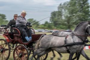 Lovasnap 2019. (foto: Jenei Boldizsár) - 2019. 07. 07.