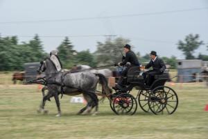 Lovasnap 2019. (foto: Jenei Boldizsár) - 2019. 07. 07.