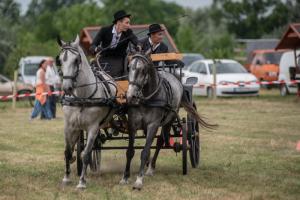 Lovasnap 2019. (foto: Jenei Boldizsár) - 2019. 07. 07.