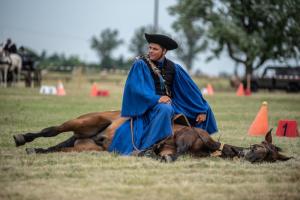 Lovasnap 2019. (foto: Jenei Boldizsár) - 2019. 07. 07.