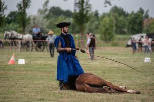 Lovasnap 2019. (foto: Jenei Boldizsár) - 2019. 07. 07.