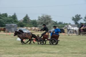 Lovasnap 2019. (foto: Jenei Boldizsár) - 2019. 07. 07.