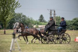 Lovasnap 2019. (foto: Jenei Boldizsár) - 2019. 07. 07.