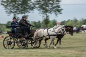 Lovasnap 2019. (foto: Jenei Boldizsár) - 2019. 07. 07.