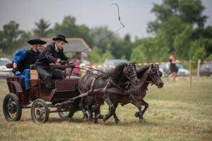 Lovasnap 2019. (foto: Jenei Boldizsár) - 2019. 07. 07.