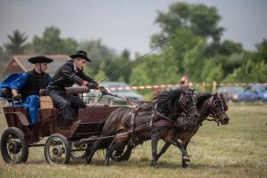Lovasnap 2019. (foto: Jenei Boldizsár) - 2019. 07. 07.