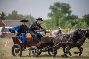Lovasnap 2019. (foto: Jenei Boldizsár) - 2019. 07. 07.