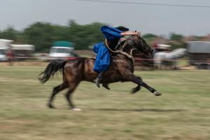 Lovasnap 2019. (foto: Jenei Boldizsár) - 2019. 07. 07.