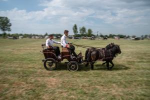 Lovasnap 2019. (foto: Jenei Boldizsár) - 2019. 07. 07.