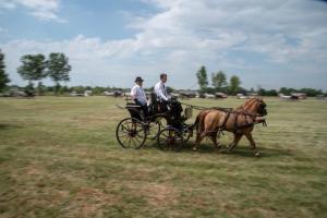 Lovasnap 2019. (foto: Jenei Boldizsár) - 2019. 07. 07.