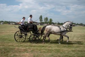 Lovasnap 2019. (foto: Jenei Boldizsár) - 2019. 07. 07.