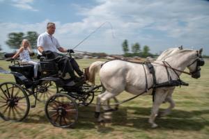Lovasnap 2019. (foto: Jenei Boldizsár) - 2019. 07. 07.
