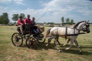 Lovasnap 2019. (foto: Jenei Boldizsár) - 2019. 07. 07.