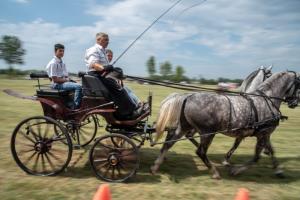 Lovasnap 2019. (foto: Jenei Boldizsár) - 2019. 07. 07.