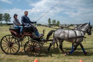 Lovasnap 2019. (foto: Jenei Boldizsár) - 2019. 07. 07.