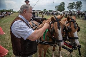 Lovasnap 2019. (foto: Jenei Boldizsár) - 2019. 07. 07.