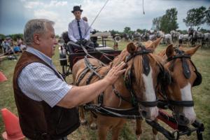 Lovasnap 2019. (foto: Jenei Boldizsár) - 2019. 07. 07.