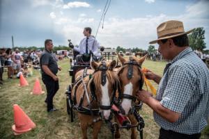 Lovasnap 2019. (foto: Jenei Boldizsár) - 2019. 07. 07.