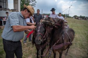 Lovasnap 2019. (foto: Jenei Boldizsár) - 2019. 07. 07.