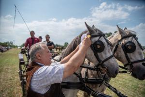 Lovasnap 2019. (foto: Jenei Boldizsár) - 2019. 07. 07.
