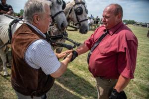 Lovasnap 2019. (foto: Jenei Boldizsár) - 2019. 07. 07.