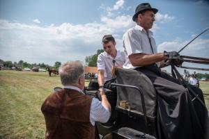 Lovasnap 2019. (foto: Jenei Boldizsár) - 2019. 07. 07.