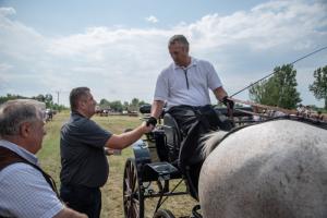 Lovasnap 2019. (foto: Jenei Boldizsár) - 2019. 07. 07.