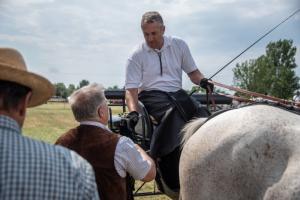 Lovasnap 2019. (foto: Jenei Boldizsár) - 2019. 07. 07.