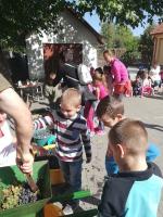 Szüret az óvodában - 2019. szeptember 19.