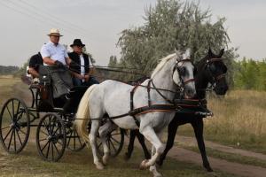 XVII. Biharnagybajomi Lovasnap - 2022. augusztus 20.
